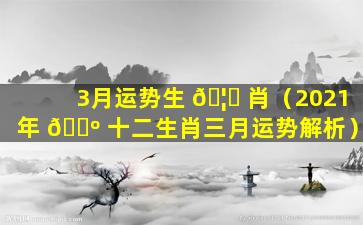 3月运势生 🦅 肖（2021年 🌺 十二生肖三月运势解析）